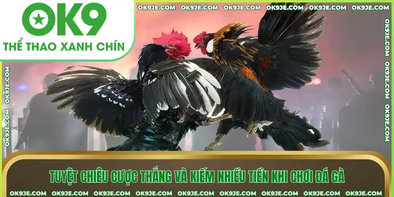 Tuyệt chiêu cược thắng và kiếm nhiều tiền khi chơi đá gà Tuyệt chiêu cược thắng và kiếm nhiều tiền khi chơi đá gà
